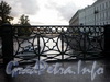 Фрагмент ограды Зеленого моста. Фото октябрь 2009 г.