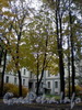 Наб. Лейтенанта Шмидта, д. 37. Дом А. П. Брюллова (Здание торгового дома «Губбард и К°»). Вид со двора. Фото октябрь 2009 г.