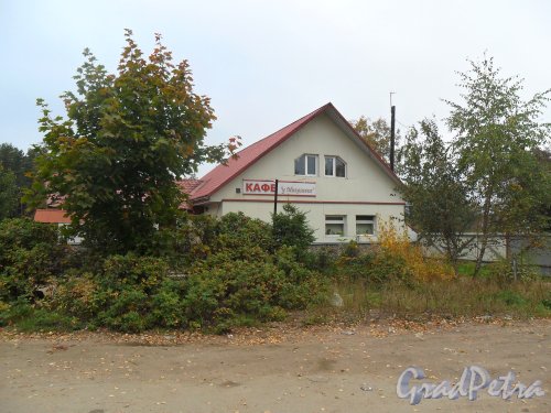 Поселок Решетниково, дом 5 А. Кафе «У Михалыча». Фото 23 сентября 2013 года.