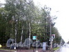 Вид на парк Сосновка с угла проспекта Мориса Тореза и улицы Витковского. Фото октябрь 2009 г.