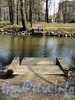 Лопухинский сад. Спуски к воде. Фото апрель 2011 г.