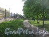 Сад 9-января. Тропинка в саду параллельно ограде и ул. Маршала Говорова. Фото 29 мая 2012 г.