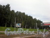 Вид на Удельный парк со стороны пр. Испытателей. Сентябрь 2008 г.