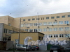 Крапивный пер., д. 5. Вид с улицы Смолячкова. Фото октябрь 2010 г.