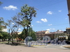 Спортивная площадка и сквер на месте бывшего Пустого рынка. Фото август 2010 г.
