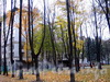 Дома 3 и 5 по Троицкой площади. Вид со двора. Фото октябрь 2010 г.