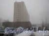 Пл. Чернышевского, дом 11. Общий вид со стороны дома 10. Фото 4 апреля 2012 г.