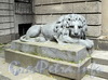Кронверкский пр., д. 5. Скульптура льва перед парадным входом. Фото октябрь 2010 г.
