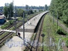 Ж/д станция «Новая деревня». Платформа. Фото август 2011 г.