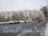 Пр. Ветеранов, д. 133. Вид от перекрёстка Тамбасова и Ветеранов. Фото январь 2012 г.