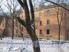 Ириновский пр., дом 41, корп. 2. Общий вид со стороны двора. Фото февраль 2012 г.