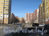 Жилой комплекс от дома 79 корпус 2 по Ленинскому пр. (справа). Фото март 2012 г.