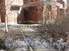 Ленинский пр., дом 95, корпус 1. Общий вид декоративных посадок перед домом. Фото март 2012 г.