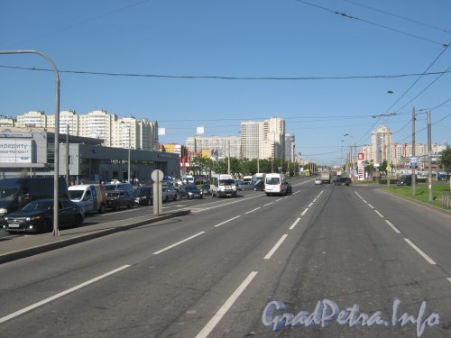 Перспектива пр. Маршала Жукова от Петергофского шоссе в сторону Ленинского пр. Фото 13 августа 2012 г.