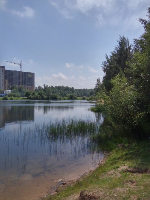 Ленинградская область,Девяткино, пос. - Участок продажа