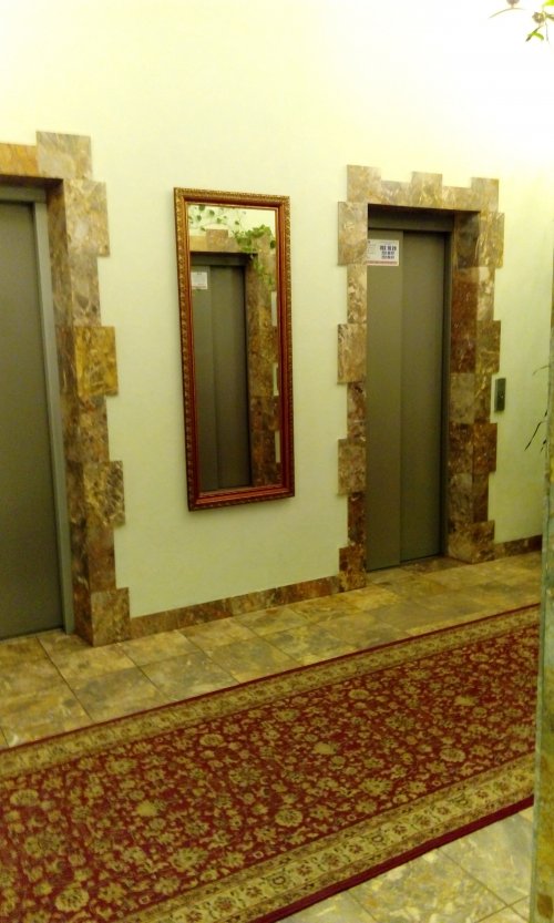 Санкт-Петербург,Лени Голикова ул. - 2 комн. квартира продажа (вторичное)