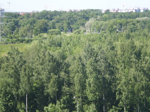 Санкт-Петербург,Адмирала Черокова ул. - 1 комн. квартира продажа (вторичное)