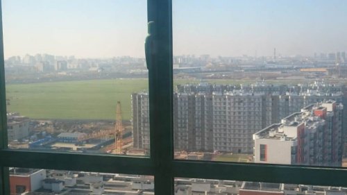 Ленинградская область,Воронцовский бул. (Мурино) - 1 комн. квартира продажа (вторичное)