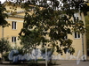 Западная аллея, д. 1. Вид с Санаторной аллеи. Фото сентябрь 2010 г.