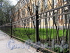 2-я Березовая аллея, д. 3-5. Фрагмент ограды вдоль 2-й Березовой аллеи. Фото май 2011 г.