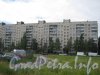Придорожная аллея, дом 1. Вид со стороны Суздальского пр. Фото 22 июля 2012 г.