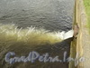 Сброс воды в Малую Невку. Вид с Песочной набережной. Фото сентябрь 2010 г.
