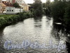 Река Смоленка. Вид со Смоленского моста. Фото июнь 2010 г.
