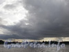 Вид на Неву со Свердловской набережной. Фото июнь 2009 г.