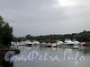 Река Средняя Невка. Пришвартованные катера и яхты у Морского яхт-клуба. Фото сентябрь 2010 г.