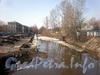 Черная речка в районе Коломяжского моста. Вид в сторону Карельского переулка. Фото апрель 2010 г.
