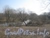 Река Дудергофка за домами 20-26 по Авангардной ул. и вид в сторону пр. Маршала Жукова. Фото апрель 2012 г.