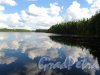 Малое Кирилловское озеро. Береговая линия. Фото 18 августа 2012 года.