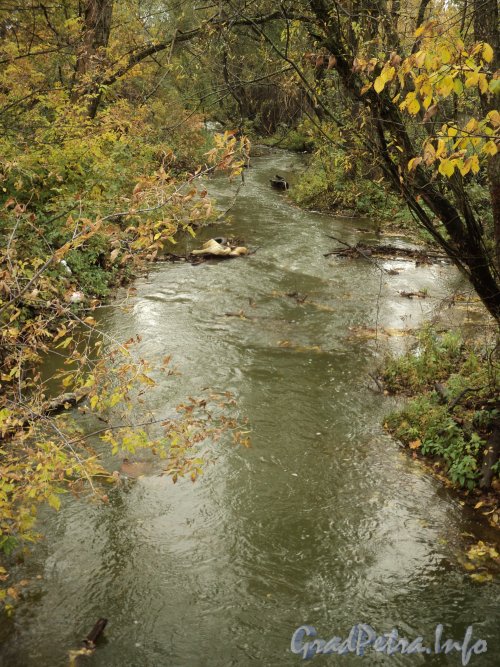 Река Каменка в районе Заповедной улицы. Фото октябрь 2011 года.