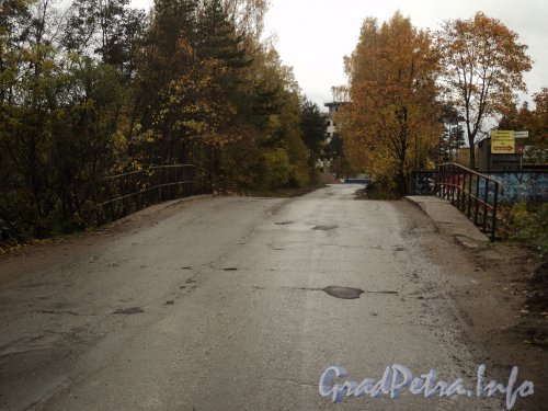 Безымянный мост через реку Каменка в створе Заповедной улицы. Фото октябрь 2011 года.