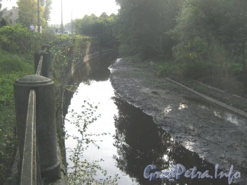 Река Волковка в районе дома 16 по Волковскому пр. Фото 18 сентября 2012 г.