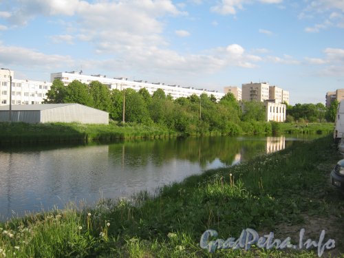 Река Сосновка в районе ул. Пионерстроя и озёра на ней. Вид в сторону пр. Ветеранов. Фото 9 июня 2012 г.