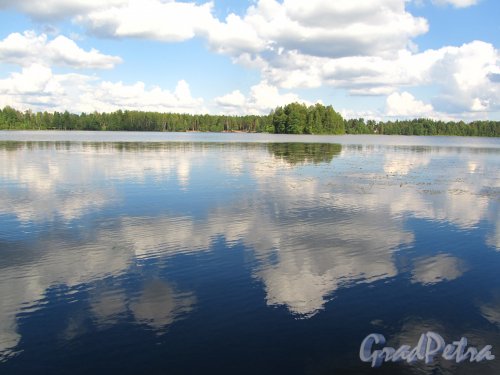 Малое Кирилловское озеро. Общий вид. Фото 18 августа 2012 года.