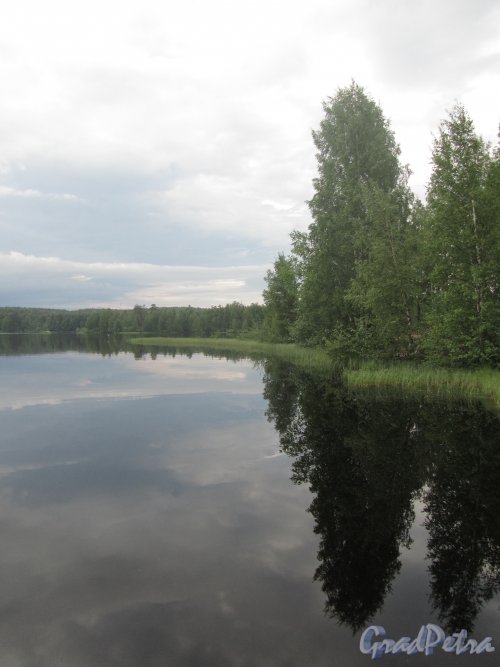 Вид на Медное озеро.  Фото 16 июня 2012 г.