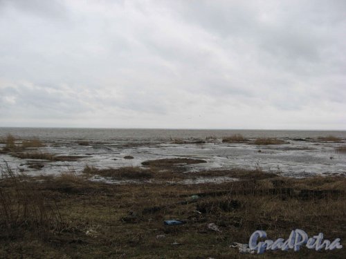Приморский р-н, пос. Лисий Нос, побережье Финского залива. Береговая линия. Фото апрель 2008 г.