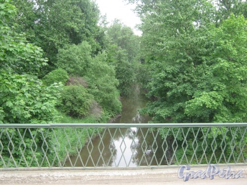 Река Волковка. Вид с Касимовского моста в сторону Волковского кладбища. Фото 10 июня 2013 г.