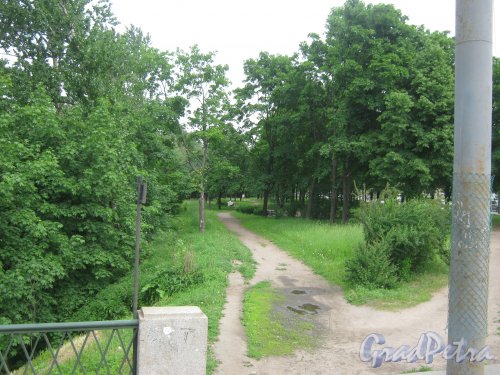 Река Волковка. Вид с Касимовского моста в сторону Волковского кладбища. Фото 10 июня 2013 г.