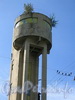 25-я линия В.О., д. 6, к.1, лит. Б. Водонапорная башня завода «Красный гвоздильщик». Фото сентябрь 2009 г.