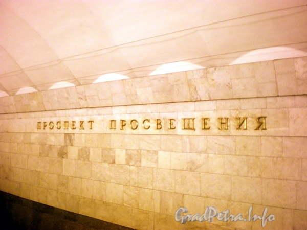 Станция метро «Проспект Просвещения». Путевая стена. Фото декабрь 2009 г.