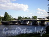 1-й Елагин мост через Среднюю Невку. Фото июнь 2009 г.