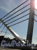 Элементы конструкции Лазаревского моста. Фото июнь 2010 г.