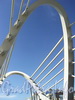 Элементы конструкции Лазаревского моста. Фото июнь 2010 г.