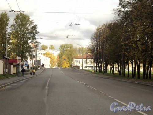 Мало-Петровский мост через рекуждановку. Дорожное полотно моста. Фото октябрь 2011 г.