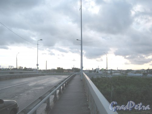 Ташкентский путепровод. Вид в сторону Митрофаньевского шоссе. Фото 11 июня 2013 г.