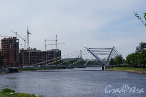 Лазаревский мост. Общий вид от ул. Бол. Зеленина. Фото май 2013 г. 