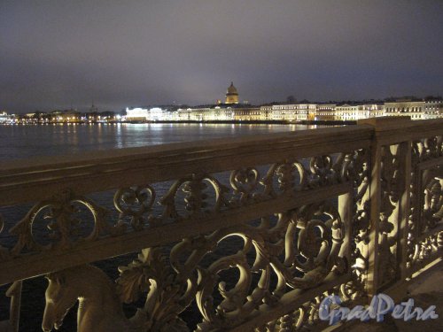 Благовещенский мост. Решетка в ночной подсветке. Фото январь 2014 г. 